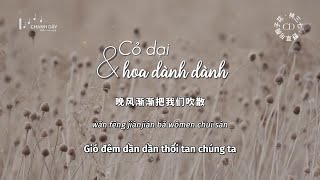 [Vietsub] Cỏ dại và hoa dành dành (野草与栀子花) - Lâm Tam Thất (林三七)