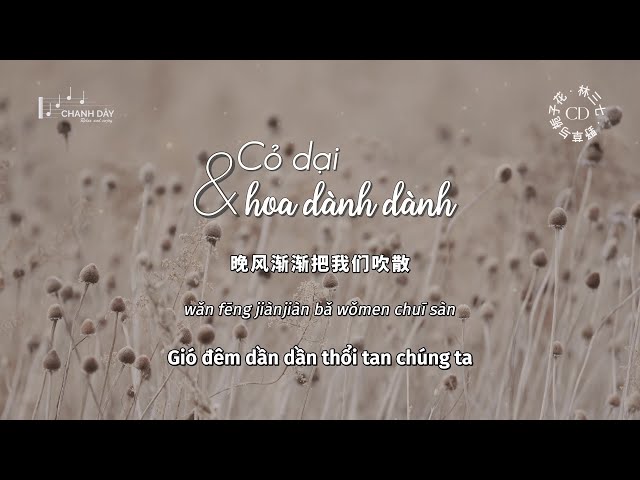 [Vietsub] Cỏ dại và hoa dành dành (野草与栀子花) - Lâm Tam Thất (林三七) class=