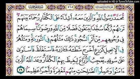 {مُحمّدٌ رسولُ الله…} _ الآية التي وردت فيها جميع حروف اللغة العربية _الآية الأخيرة من سورة الفتح/29