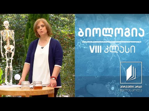 ბიოლოგია, VIII კლასი - ძვლის აგებულება და ქიმიური შემადგენლობა #ტელესკოლა