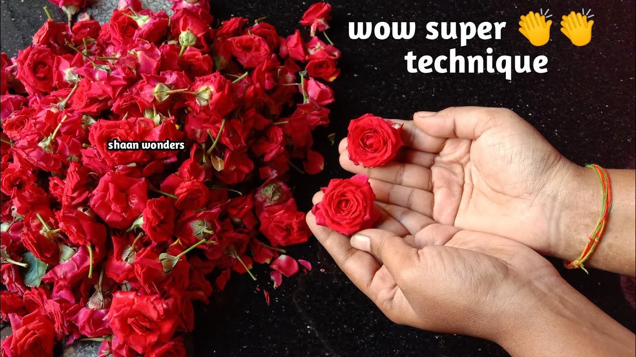 Super idea anyone can make rose garland anymore /சூப்பர் ஐடியா இனி ரோஸ் மாலை கட்ட தேவையில்லை
