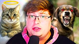 Why Cats are Better Than Dogs