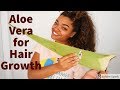 Easy DIY Aloe Vera Hair Mask for Hair Growth