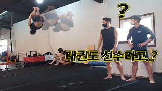 상위1% 태권도 선수가 기계체조 도장깨기..  The top 1% Taekwondo player is this good at gymnastics..?