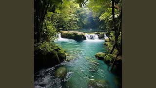 Rivers Melody Gentle Flow