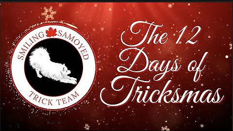 12 Days of Tricksmas by The Smiling Samoyed Trick ...
