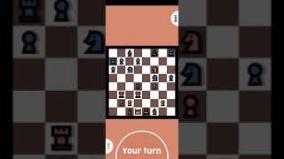 체스의 제왕(?) screenshot 2