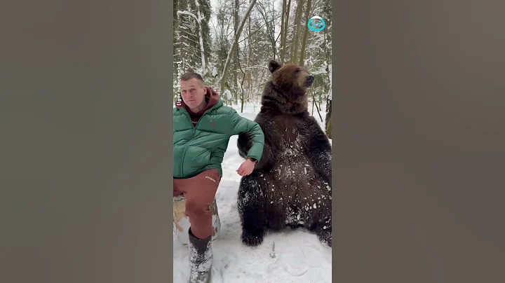 Bear Wants to Hold Hands || ViralHog