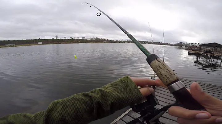 how to catch shiners with a bare hook no bait!