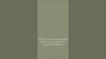 #سورة_البقرة من آية ١٩١ إلى آية ١٩٣ للحفظ🌿