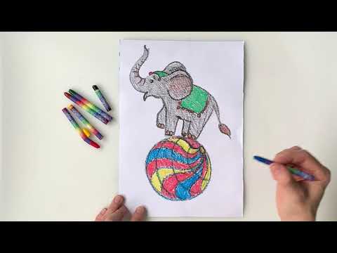 Рисуем слона шаг за шагом. Как нарисовать циркового слона. Слон на шаре поэтапно. Урок рисования.