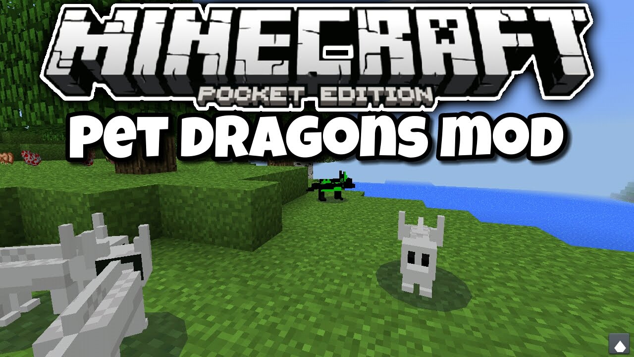 0 13 1 Minecraft Pe Train Your Own Dragon Pet Dragons Mod Showcase Youtube