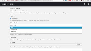 Push local docker images to openshift registry - minishift