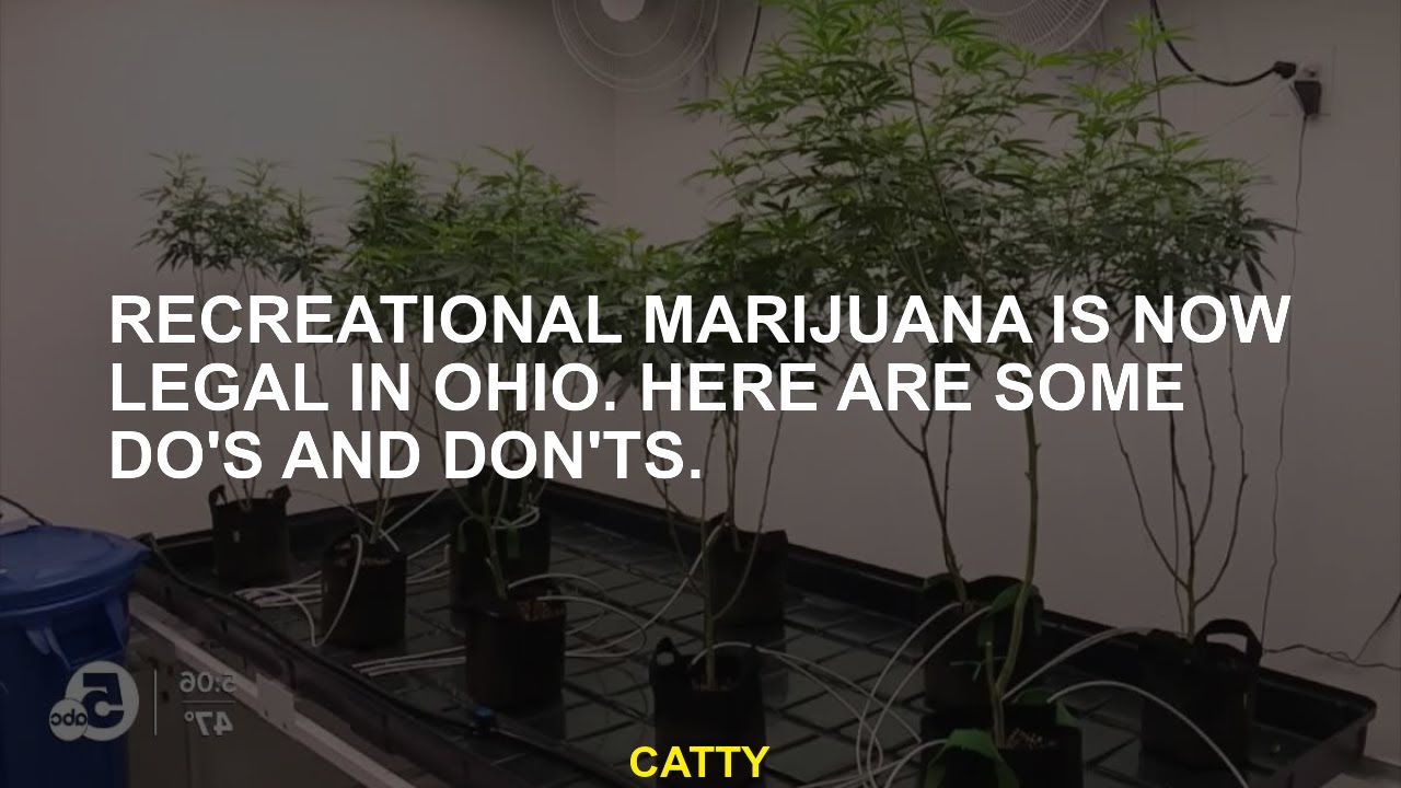 Recreational cannabis is no longer legal in Ohio. YouTube