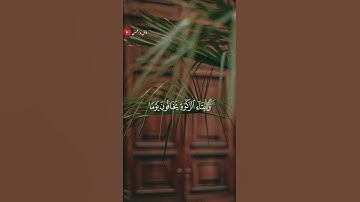 تلاوة عذبه ومؤثره تلامس القلب القارى انس المالك🎧❤️‍🩹 #أرح_سمعك_وقلبك #اكسبلور #حالات_واتس #طمئن_قلبك