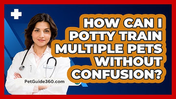 How Can I Potty Train Multiple Pets Without Confusion? - PetGuide360.com