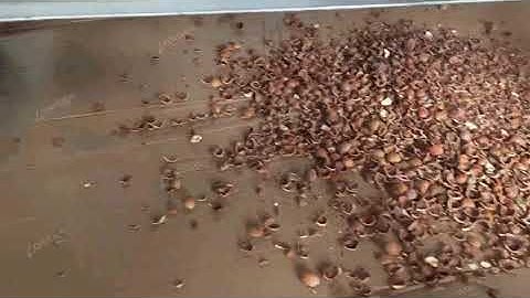 LG  Hazelnut Shelling Machine Working Video from Vivian