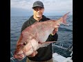 BIG LATE SEASON SNAPPER | SNAPPER FISHING | PORT PHILLIP |APRIL 2024 #snapperfishing#portphillipbay