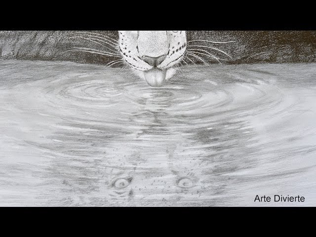  Dibujando reflejos en el agua  leopardo tomando agua
