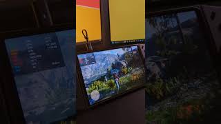 lenovo Legion Go X Red Dead Redemption 2 Optimized Settings #lenovolegiongo #pchandheld  #gaming