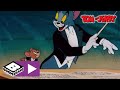 Chef dorchestre  tom et jerry  boomerang