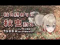 【秋虫】チャンネル登録者7500人行くまで、秋の終わりを告げる配信【紅蓮罰まる/ぶいぱい】