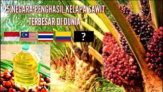 5 NEGARA PENGHASIL KELAPA SAWIT TERBESAR DI DUNIA