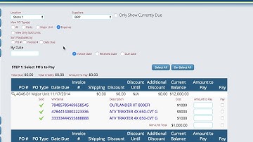 Snow Checks in Lizzy