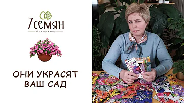 7 НЕПРИХОТЛИВЫХ ОДНОЛЕТНИКОВ, КОТОРЫЕ ЦВЕТУТ ВСЕ ЛЕТО / 7 семян