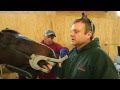 VetsOnCall - Horse dentist pulls fractured tooth