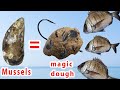 How To Make Magic Bait ( Free 0$ ) With Mussels  - #Catch-More-Fish