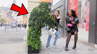 People had Crazy Reactions Bushman Prank