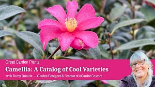 Camellia: A Catalog of Common Varieties