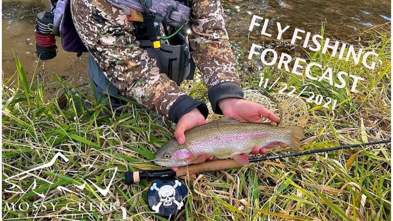 Mossy Creek Fly Fishing Forecast 11/22/2021 YouTube
