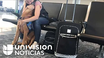 ¿La ansiedad requiere un perro de servicio?