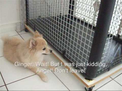 Ginger Angel Photo 22