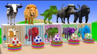 Long Slide Game With Cow Sheep Elephant Gorilla Hippopotamus Tiger 3D animations #animals #elephant