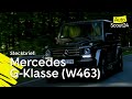 Steckbrief: Mercedes G-Klasse (W463)