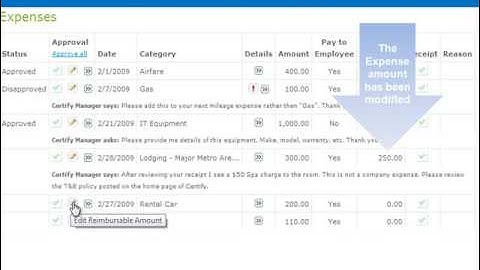 Cerity Manager Role Overview