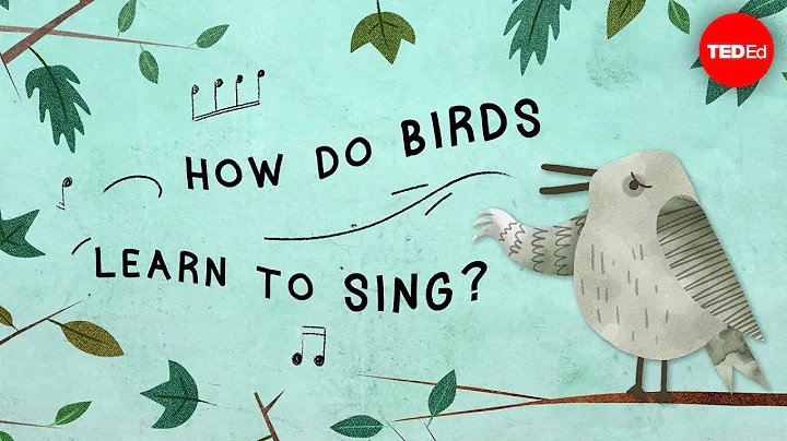The surprising reason birds sing - Partha P. Mitra - DayDayNews