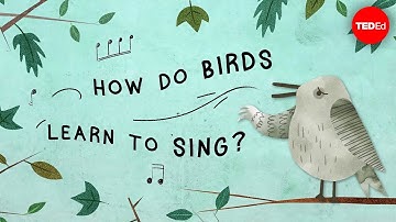 The surprising reason birds sing - Partha P. Mitra