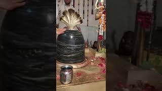 Kaal Sarp Dosh Puja in Ujjain | आचार्य पंडित शुभम शर्मा 07999882687