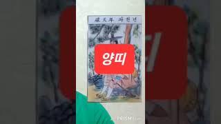 양띠 오늘의운세 2024년8월1일 목요일 운세 총운 #운세 #오늘의운세