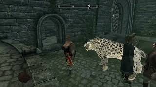 0016 Mod Skyrim, Elder Ring, Warhammer. Хельга Дочь Кратоса. Helga Dcera Kratose