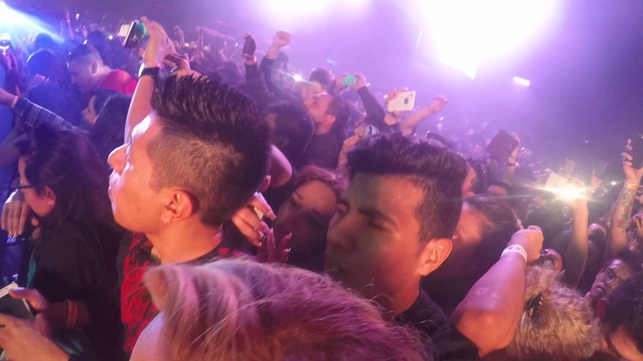 alza tu cerveza- Mago de Oz live - YouTube