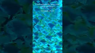 Bible | Jeremiah 31:25 | I will refresh the weary and s...