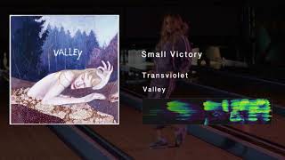 Video thumbnail of "Transviolet - Small Victory (Audio)"
