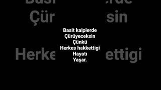 Azer Baba #azerbülbül