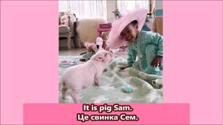 Liz and pig Sam 1 клас англійська мова