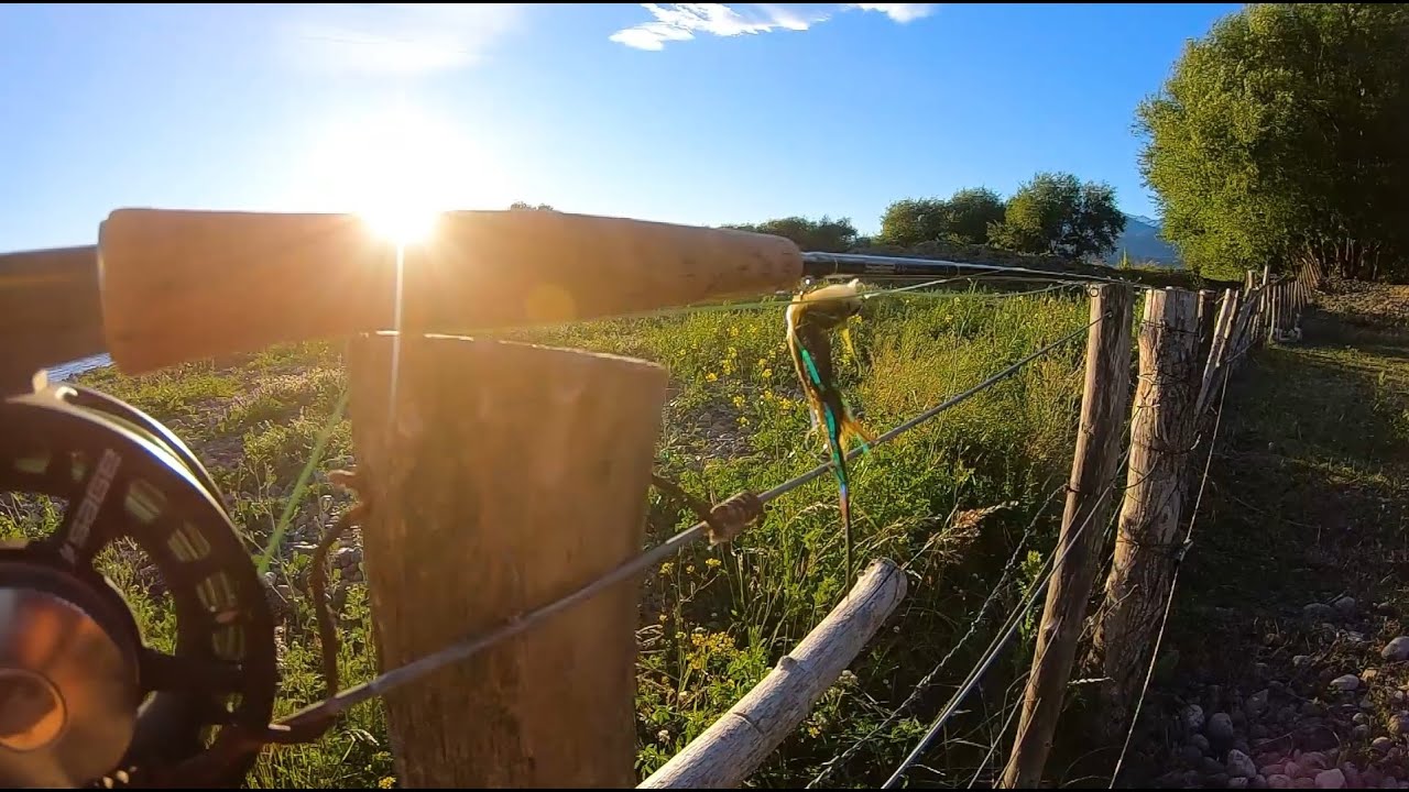 Pescando Rio Percy con un Galenso de Trevelin 2020